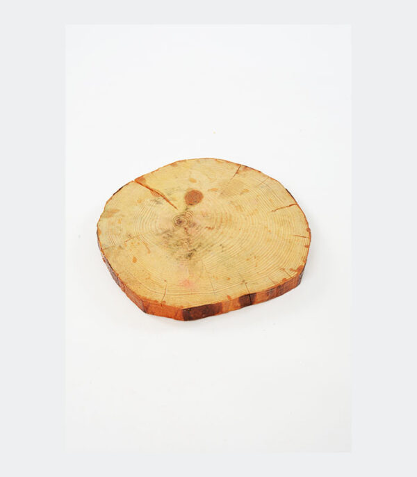 ÇİÇEK DKOR ANTALYA - YAPAY ÇİEÇK ANTALYA ANTALYA DÜĞÜN DERİ KOLTUK-LOUNGE GRUP - SEDİR GRUPLAR - ORGANİZASYON KOLTUKLAR - HAYALET KOLTUK KİRALAMA DÜĞÜN DUGUN - ANTALYA DÜĞÜN - SUPLA KİRALAMA ANTALYA