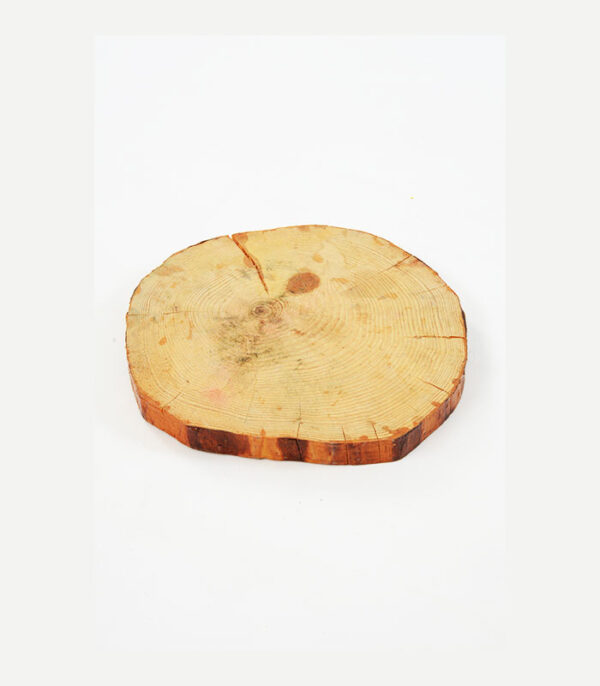 ÇİÇEK DKOR ANTALYA - YAPAY ÇİEÇK ANTALYA ANTALYA DÜĞÜN DERİ KOLTUK-LOUNGE GRUP - SEDİR GRUPLAR - ORGANİZASYON KOLTUKLAR - HAYALET KOLTUK KİRALAMA DÜĞÜN DUGUN - ANTALYA DÜĞÜN - SUPLA KİRALAMA ANTALYA