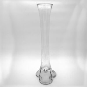 Elephant Foot Vase Transparent
