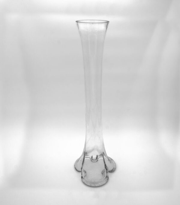 Elephant Foot Vase Transparent