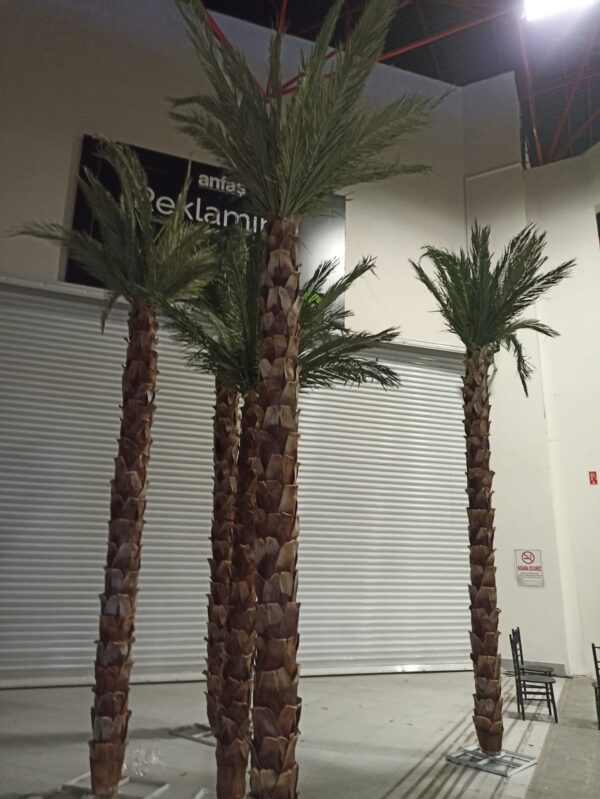 Yapay Palmiye Ağaç